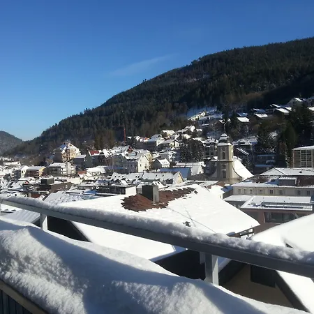 Pensión Hotel Garni Silberburg - Ab 2-Uebernachtungen Ist Die Schwarzwald-Plus-Karte Inklusive