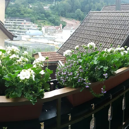Hotel Garni Silberburg - Ab 2-Uebernachtungen Ist Die Schwarzwald-Plus-Karte Inklusive Bad Wildbad