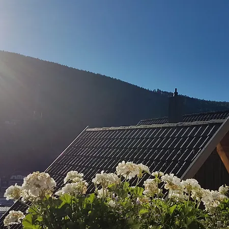 Pensión Hotel Garni Silberburg - Ab 2-Uebernachtungen Ist Die Schwarzwald-Plus-Karte Inklusive Bad Wildbad